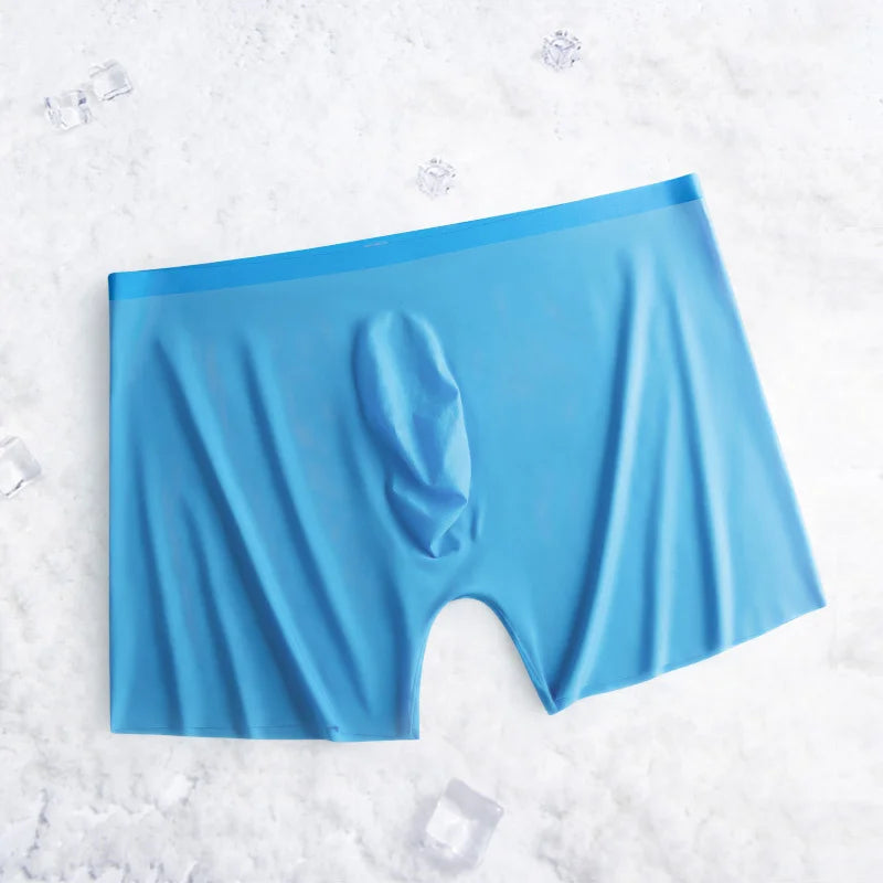 1-2 Pcs Ultra-thin Underwear Sexy Transparent 2022 New Mesh Ice Silk Mens Boxer Shorts Naked Seamless Plus Size Boxershorts Men luvshop24