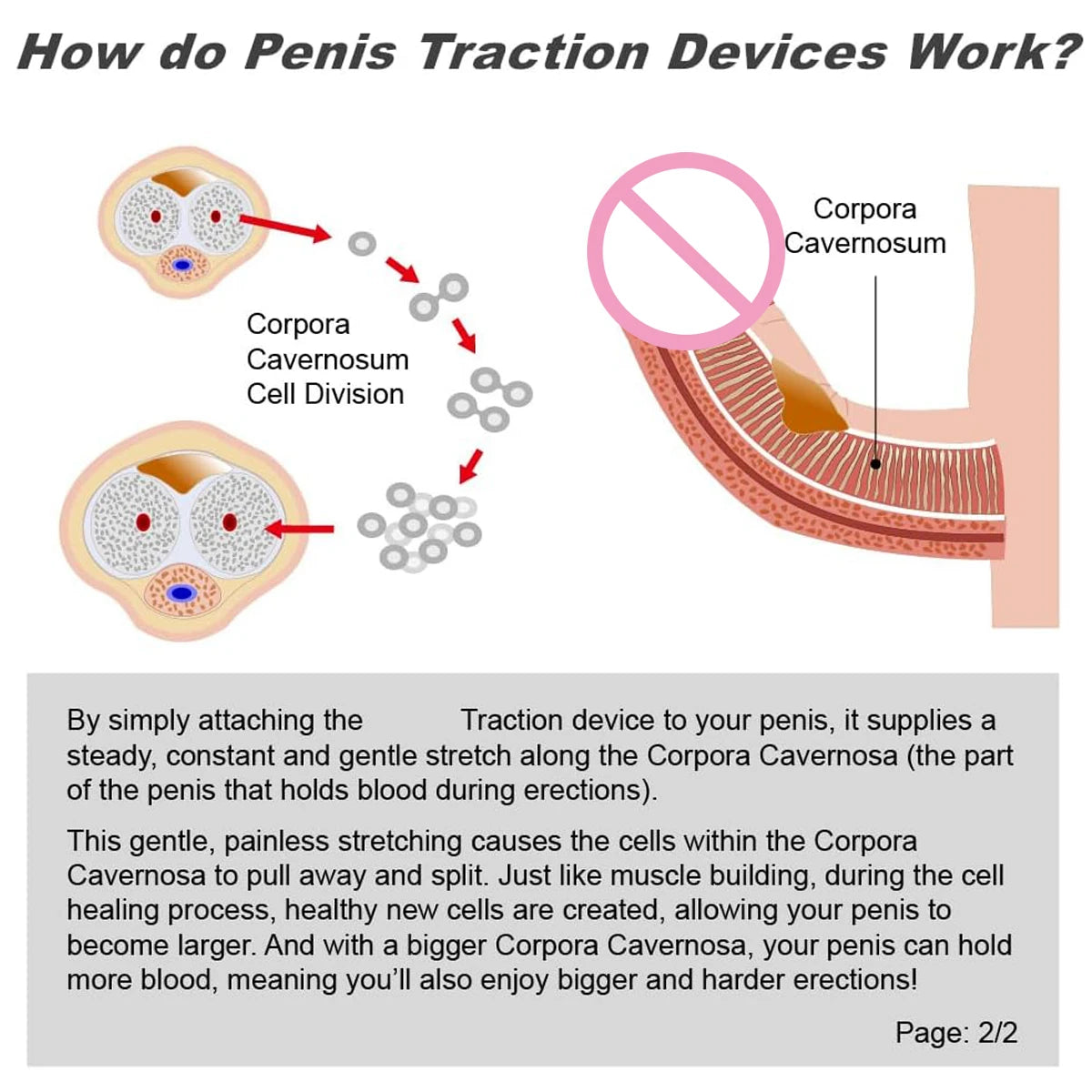 Penis Extender Adjustable Training Stretcher Kit Dick Enlargement Traction Device Penis Enlarger Sex Toys for Men Sexual Toys luvshop24