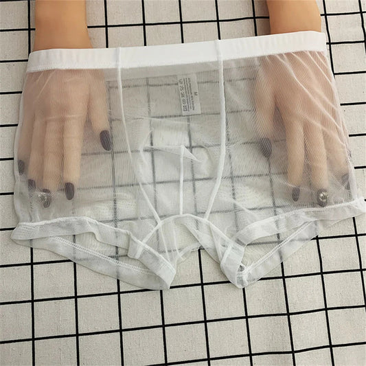 Transparent Boxers for Men See Through Male Underpants Sexy Low Waist Panties Lingerie Intimates luvshop24