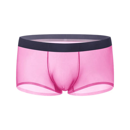 Ultra-Sheer Boxer Trunks Men Summer Ice Silk Seamless Underwear Nude-Feel Mesh Underpants Soft Knickers Male Bulge Pouch Panties luvshop24