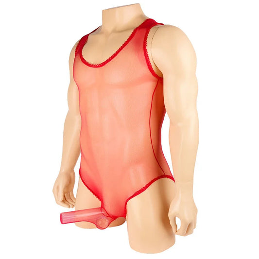 Men's Sexy Sheer Stocking Bodysuit with Sissy Penis Sheath Pouch Gay Lingerie Leotard Bodystocking for Erotic Underwear luvshop24