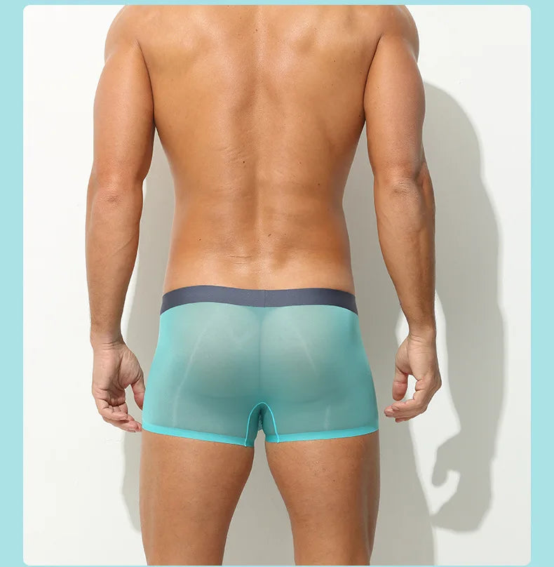 Ultra-Sheer Boxer Trunks Men Summer Ice Silk Seamless Underwear Nude-Feel Mesh Underpants Soft Knickers Male Bulge Pouch Panties luvshop24