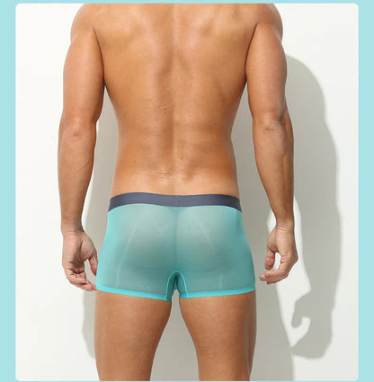 Ultra-Sheer Boxer Trunks Men Summer Ice Silk Seamless Underwear Nude-Feel Mesh Underpants Soft Knickers Male Bulge Pouch Panties luvshop24