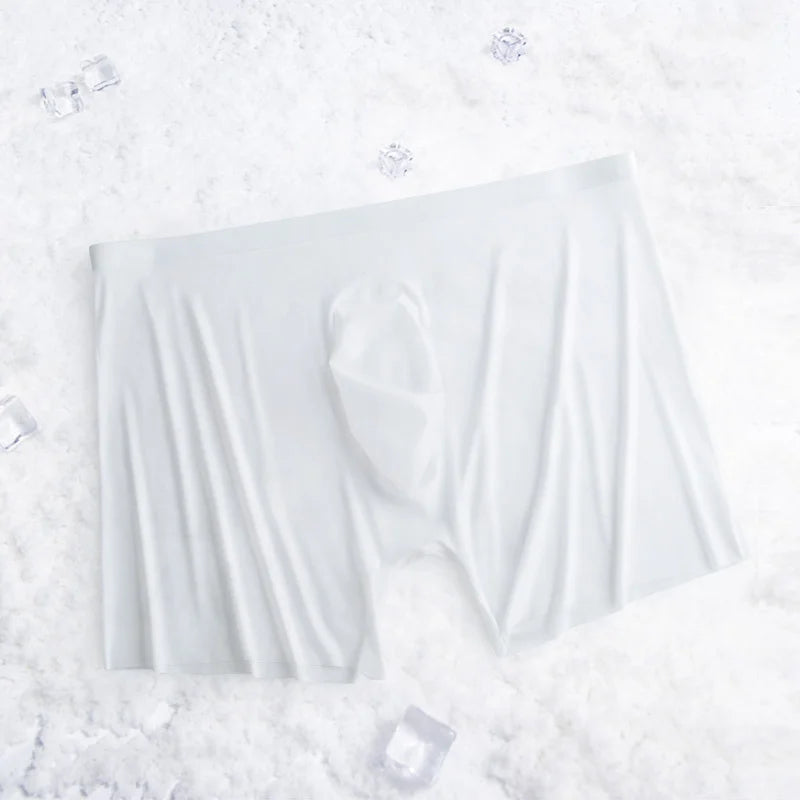 1-2 Pcs Ultra-thin Underwear Sexy Transparent 2022 New Mesh Ice Silk Mens Boxer Shorts Naked Seamless Plus Size Boxershorts Men luvshop24