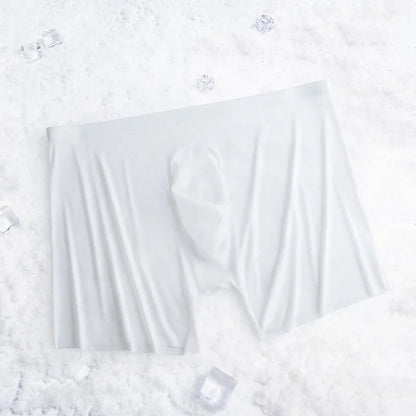 1-2 Pcs Ultra-thin Underwear Sexy Transparent 2022 New Mesh Ice Silk Mens Boxer Shorts Naked Seamless Plus Size Boxershorts Men luvshop24