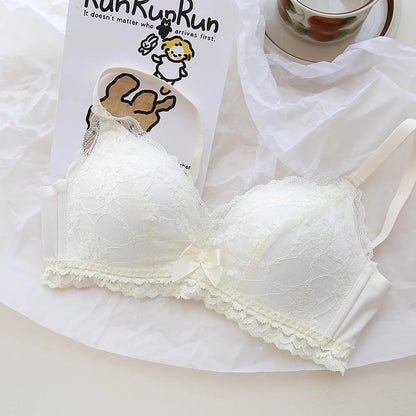 Lace Underwear Set of Female Small Breasts Gathered to Show Large on the Top Anti-Sagging Breasts Collect Vice Girls Student Bra luvshop24