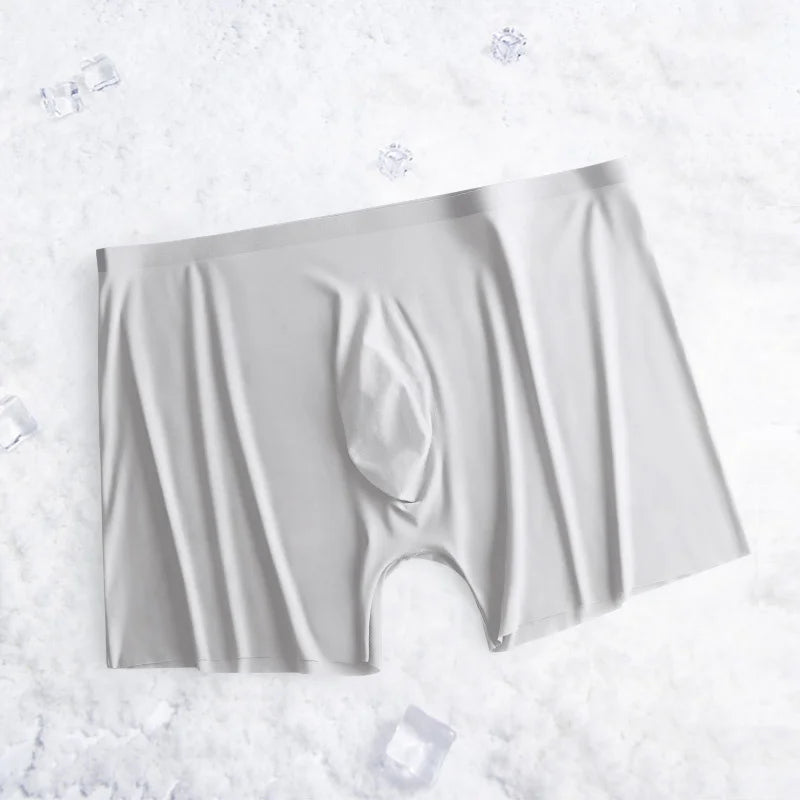 1-2 Pcs Ultra-thin Underwear Sexy Transparent 2022 New Mesh Ice Silk Mens Boxer Shorts Naked Seamless Plus Size Boxershorts Men luvshop24