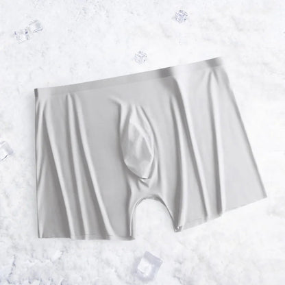 1-2 Pcs Ultra-thin Underwear Sexy Transparent 2022 New Mesh Ice Silk Mens Boxer Shorts Naked Seamless Plus Size Boxershorts Men luvshop24