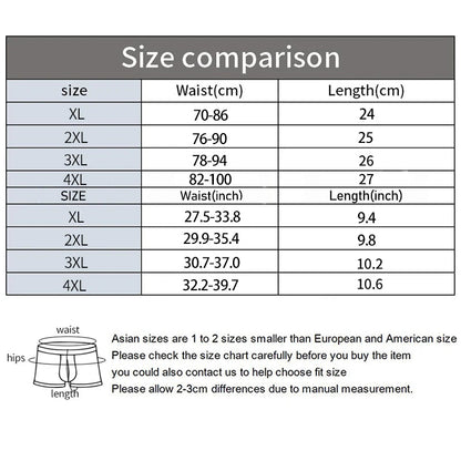 Men's Ice Silk Seamless Briefs Summer New Ultra-thin Transparent Sexy Quick-drying Trendy Breathable Underwear Panties luvshop24