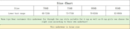 Lace Underwear Set of Female Small Breasts Gathered to Show Large on the Top Anti-Sagging Breasts Collect Vice Girls Student Bra luvshop24