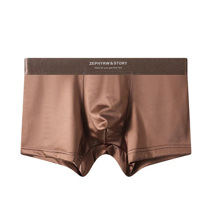 Luxury Summer Smooth Cool Ice Silk Satin-like Men's Boxershort Panties Solid Underpants Breathable Mesh Crotch Male Underwear luvshop24