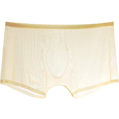 Transparent Boxers for Men See Through Male Underpants Sexy Low Waist Panties Lingerie Intimates luvshop24