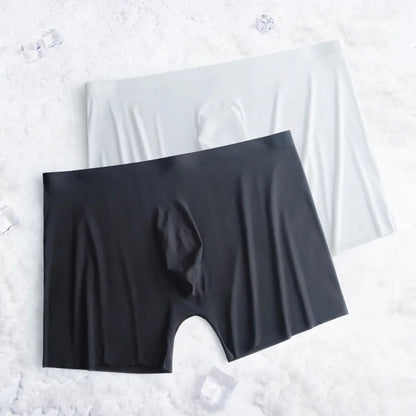 1-2 Pcs Ultra-thin Underwear Sexy Transparent 2022 New Mesh Ice Silk Mens Boxer Shorts Naked Seamless Plus Size Boxershorts Men luvshop24
