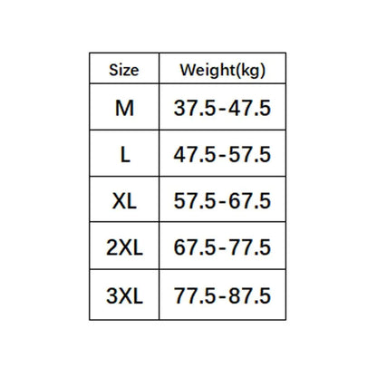 2Pcs Lingerie Underwear Lace Briefs Women Bow Mid Waist Stain Silk Panties Cotton Crotch Underpants Mesh Seamless Briefs Lady luvshop24