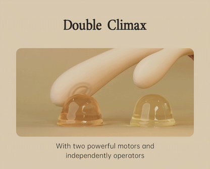 DRY WELL Rabbit Vibrator with Unique Patting Function Clitoris Stimulator Dildo with 10 Powerful Modes Dual Motor Stimulator luvshop24