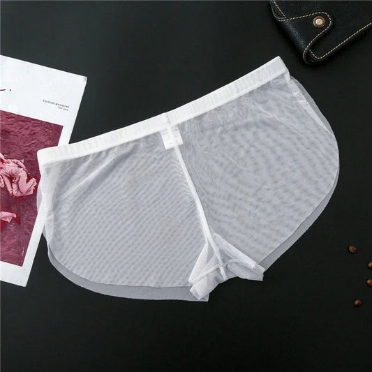 Summer Thin Mesh Mesh Boxers for Men Breathable Seamless Male Panties Transparent Trunk Shorts Mid Waist luvshop24