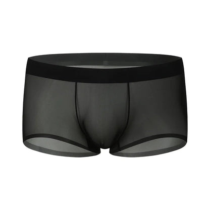 Ultra-Sheer Boxer Trunks Men Summer Ice Silk Seamless Underwear Nude-Feel Mesh Underpants Soft Knickers Male Bulge Pouch Panties luvshop24