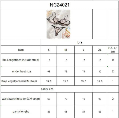 Lace Lingerie Ultra Sexy Underwear Women Set Sexy Adult Delicate Embroidery Intimate Underwear Transparent Bra Lingerie Sets luvshop24