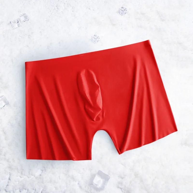 1-2 Pcs Ultra-thin Underwear Sexy Transparent 2022 New Mesh Ice Silk Mens Boxer Shorts Naked Seamless Plus Size Boxershorts Men luvshop24