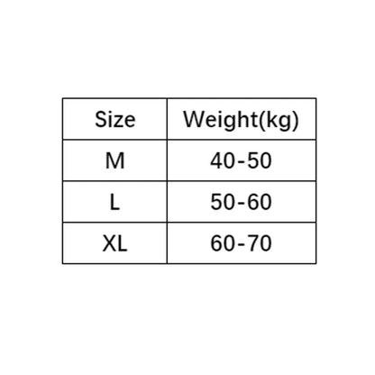 3Pcs Lingerie Dot Lace Bowknot Panties Sweet Mid Waist Seamless Briefs Cotton Crotch Underpants Underwear for Women Lady luvshop24
